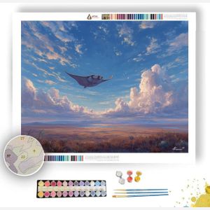 SKYBOUND MANTA PLAINS - Paint by Numbers Full Kit