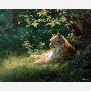 LUMENFUR LYNX CLEARING - Paint by Numbers Full Kit