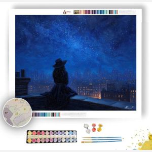 ROOFTOP STAR WITCH - Paint by Numbers Full Kit