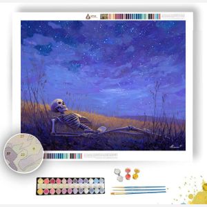 SKELETON STAR GAZE - Paint by Numbers Full Kit