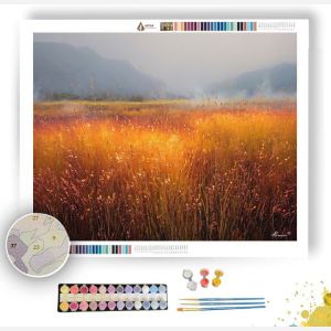 SUNEMBER MEADOW - Paint by Numbers Full Kit