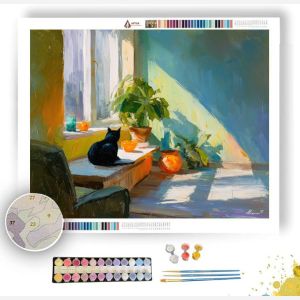 PLAYFUL LIGHT SHIFT - Paint by Numbers Full Kit