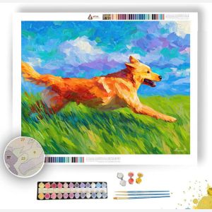 BRIGHT COLORS - Paint by Numbers Full Kit