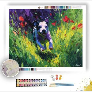 BRIGHT LIGHT - Paint by Numbers Full Kit