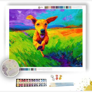 CLEAR PATH - Paint by Numbers Full Kit