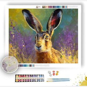 OPEN GAZE - Paint by Numbers Full Kit