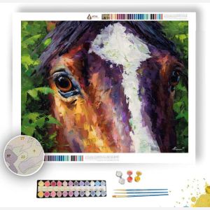 WARM EXPRESSION - Paint by Numbers Full Kit