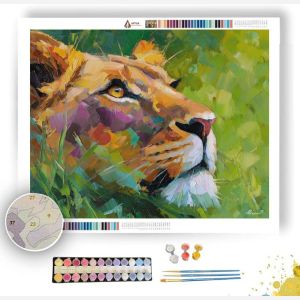 QUIET FOCUS - Paint by Numbers Full Kit