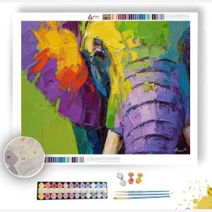 CALM EXPRESSION - Paint by Numbers Full Kit