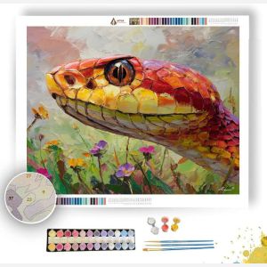 AIRY STARE - Paint by Numbers Full Kit