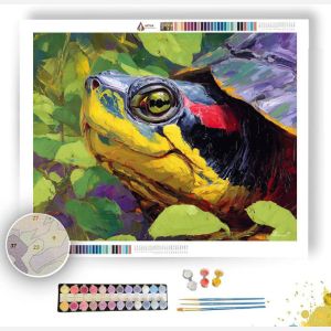 FRESH HEAD - Paint by Numbers Full Kit