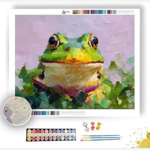 SOFT STARE - Paint by Numbers Full Kit