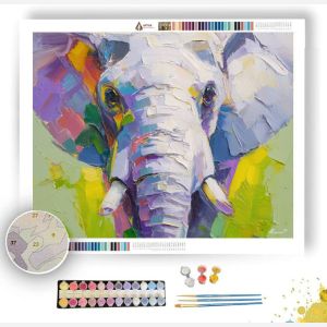 FRESH EYES - Paint by Numbers Full Kit