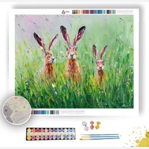 SOFT MEADOW - Paint by Numbers Full Kit