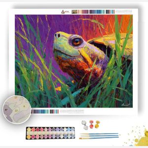 WARM MEADOW - Paint by Numbers Full Kit
