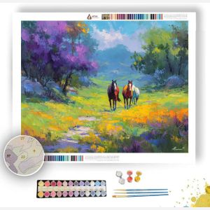SOFT PATH - Paint by Numbers Full Kit