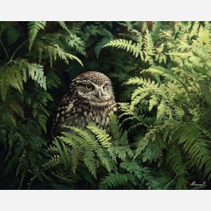 owl bird,forest ferns,quiet rest,oil painting