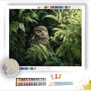 FERNGLADE OWLET - Paint by Numbers Full Kit