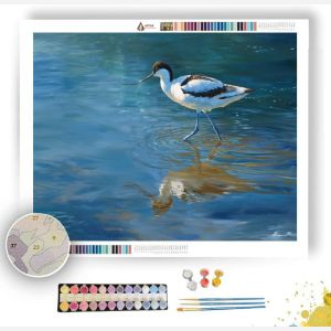 TIDEGLASS AVOCET - Paint by Numbers Full Kit