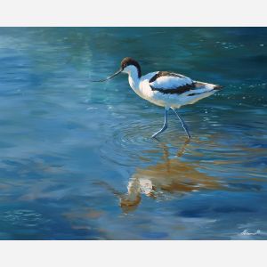avocet bird,shallow water,wading bird,oil painting