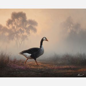 goose bird,morning mist,field calm,oil painting