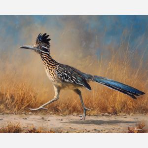 roadrunner bird,desert path,open land,oil painting