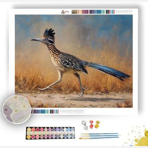 DUSTPATH ROADRUNNER - Paint by Numbers Full Kit