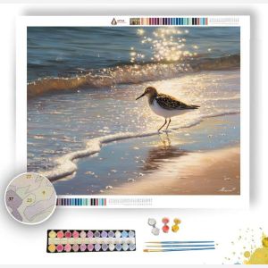 SUNBANK SANDPIPER - Paint by Numbers Full Kit