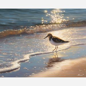 sandpiper bird,shoreline light,oil painting