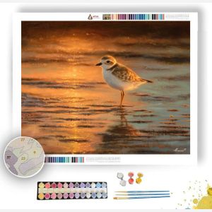 DUSKLAND PLOVER - Paint by Numbers Full Kit