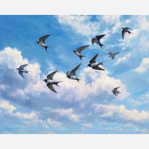 swallow birds,open sky,flight motion,oil painting