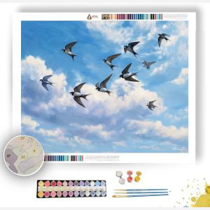 SKYARC SWALLOW - Paint by Numbers Full Kit