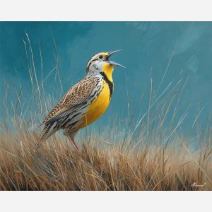 lark bird,meadow song,open field,oil painting