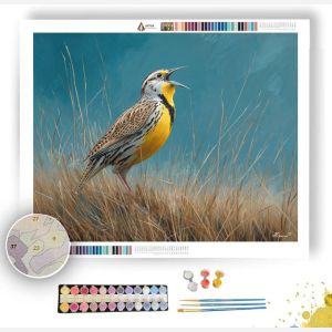MEADOWCALL LARK - Paint by Numbers Full Kit