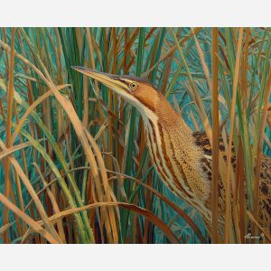 bittern bird,wetland reeds,camouflage,oil painting