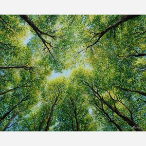 spring canopy,new leaves,oil painting