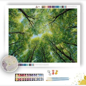 CANOPY OF NEW LEAVES - Paint by Numbers Full Kit