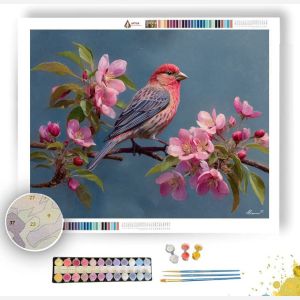 BLOSSOMFINCH PERCH - Paint by Numbers Full Kit
