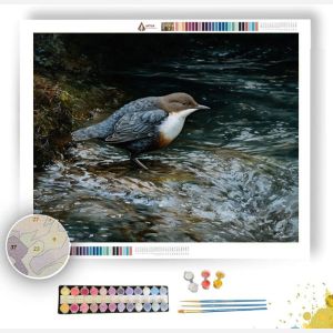 RIVERGLEAM DIPPERS - Paint by Numbers Full Kit