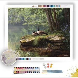 GOOSE POND REST - Paint by Numbers Full Kit