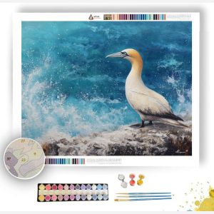 COASTLINE GANNET - Paint by Numbers Full Kit