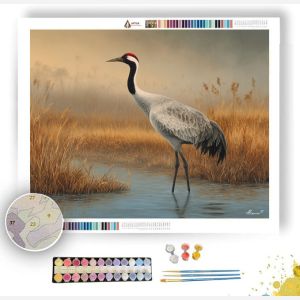 REEDSHADOW CRANE - Paint by Numbers Full Kit