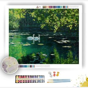 SWANPAIR SPRINGWATER - Paint by Numbers Full Kit