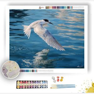 GLASSHARBOR TERN - Paint by Numbers Full Kit
