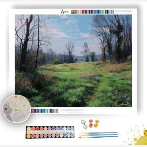 MEADOW AWAKENING - Paint by Numbers Full Kit