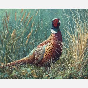 pheasant bird,tall grass,patterned feathers,oil painting