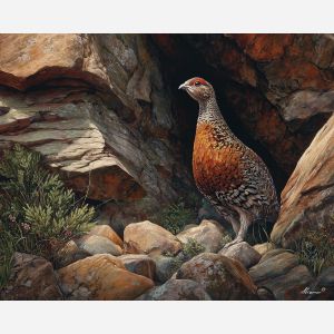 grouse bird,rocky ground,natural camouflage,oil painting