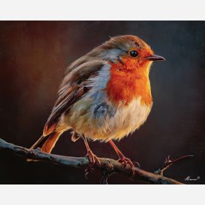 robin,bird portrait,branch perch,warm tones,oil painting,songbird,nature scene,feather detail,soft light,wildlife art,calm mood,small bird,realistic style,avian subject,subtle background,peaceful moment