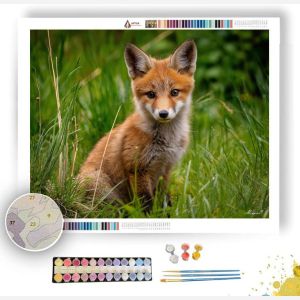 FOX CUB MEADOW - Paint by Numbers Full Kit