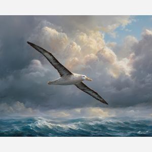 albatross bird,ocean glide,open sky,oil painting